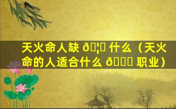 天火命人缺 🦊 什么（天火命的人适合什么 🍀 职业）